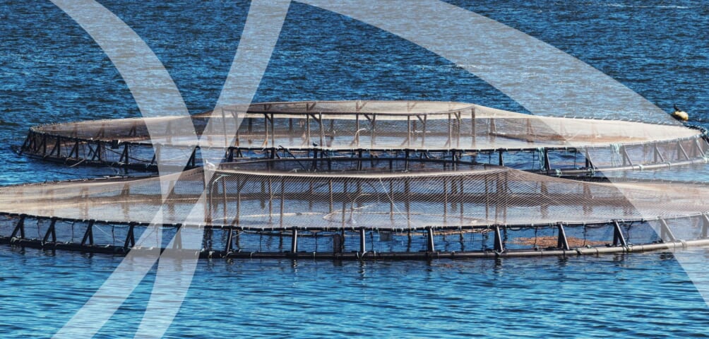 HIC Sustainable Aquaculture Summit 2025
