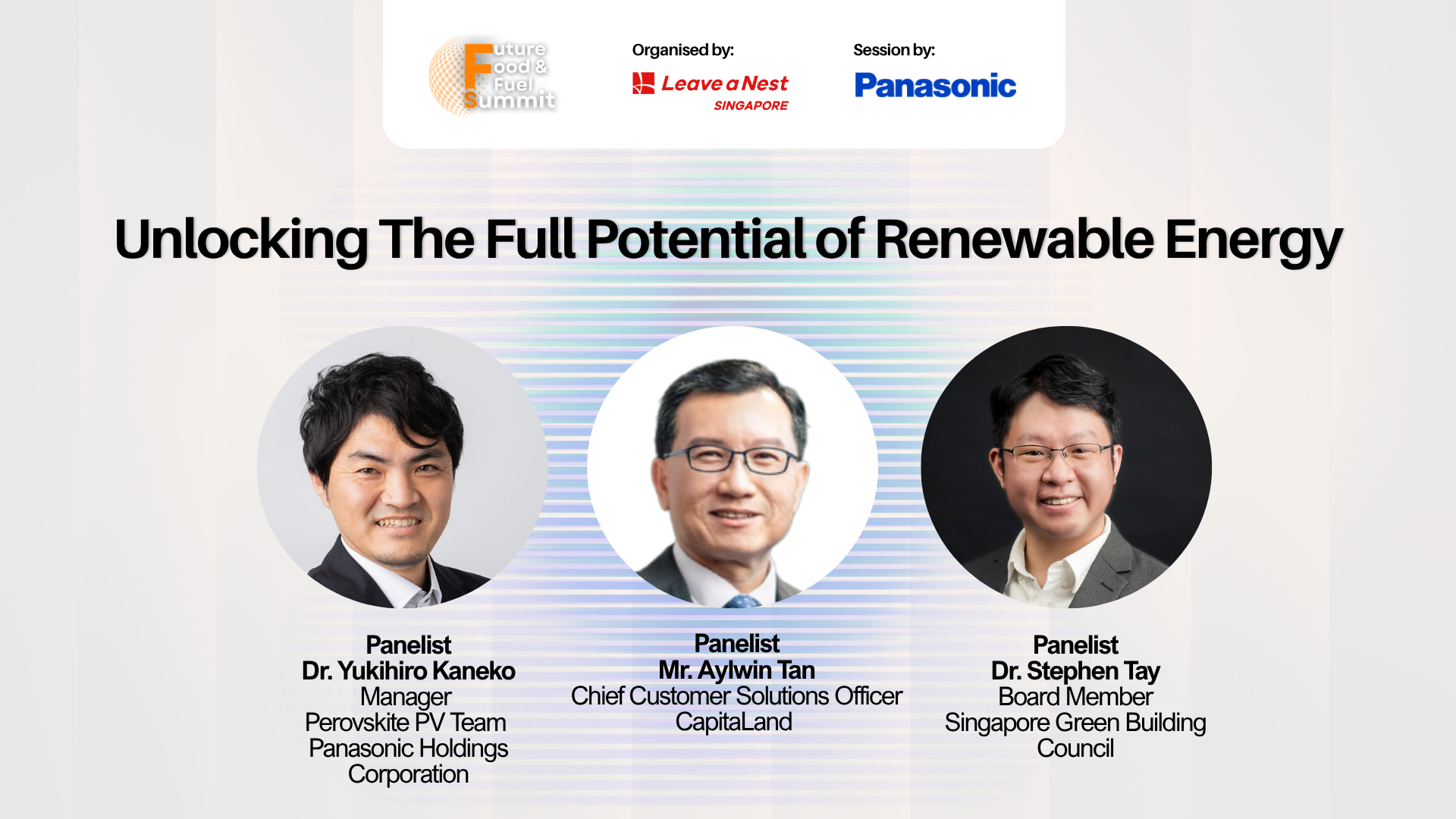 Future Energy Panel 2: Unlocking the Full Potential of Renewable Energy